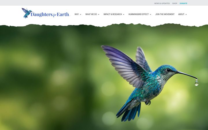 Captură de ecran a daughtersforearth.org
