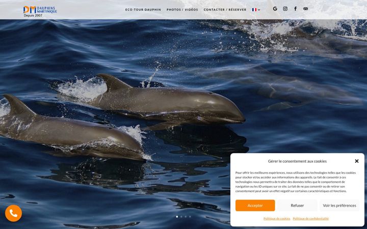 Screenshot of dauphin-martinique.fr