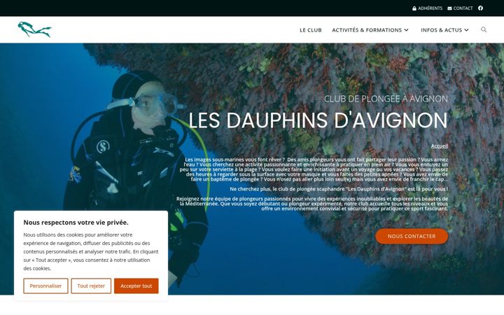 Screenshot of dauphinsdavignon.com