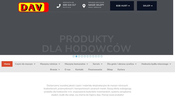 Screenshot of dav-vogel.pl