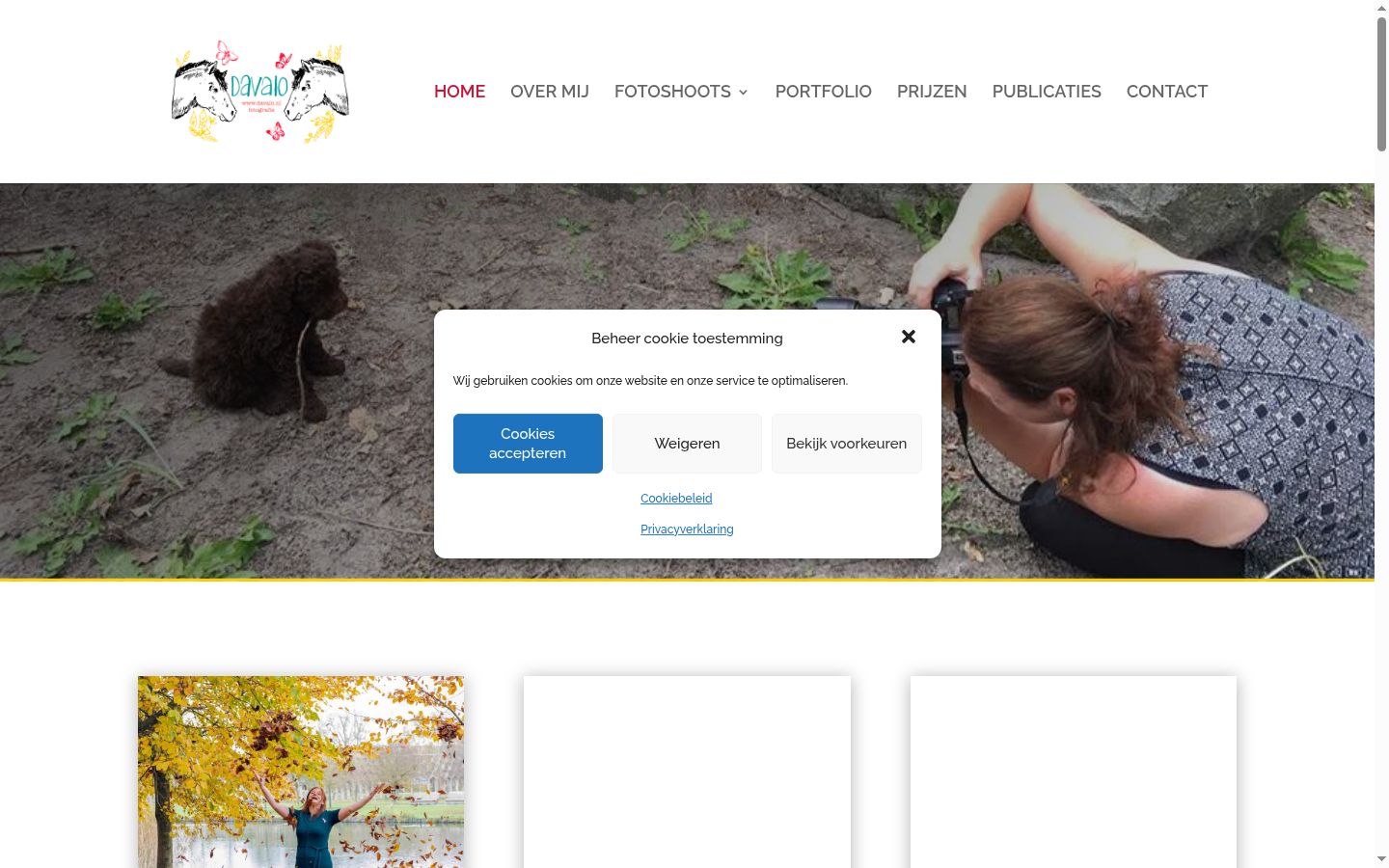 Sutikimo reklamjuostės, rodytos prieš bet kokią sąveiką, ekrano kopija