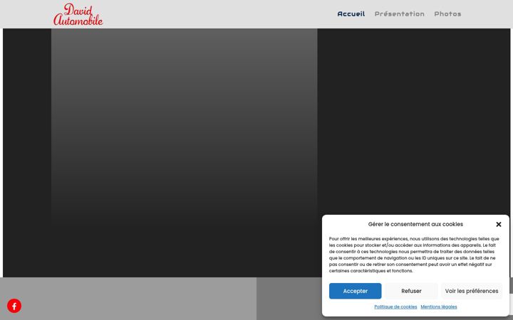 Screenshot stránky david-automobile.fr