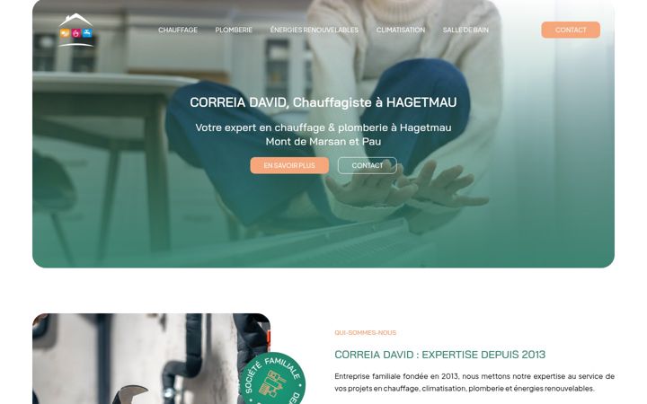 Screenshot stránky david-correia.fr