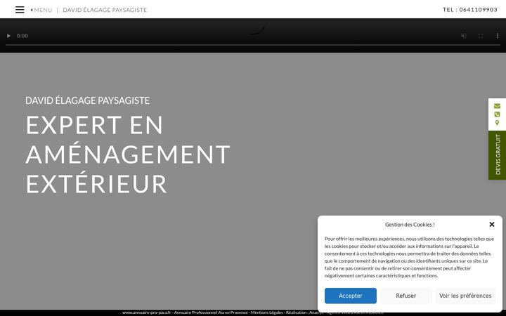 Screenshot stránky david-elagage-paysagiste.fr