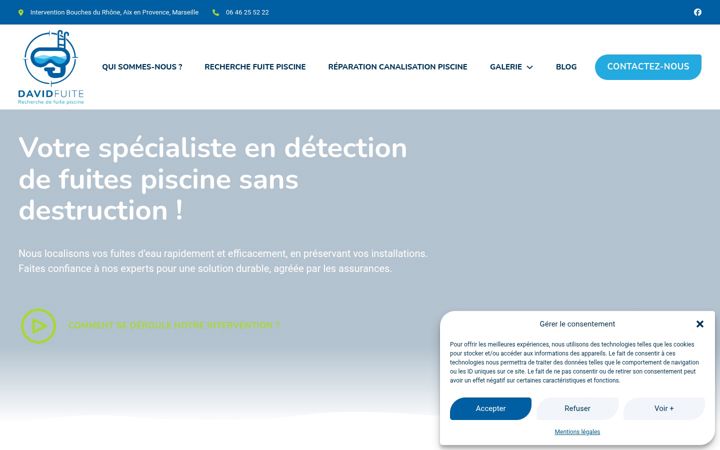 Screenshot stránky david-fuite.fr