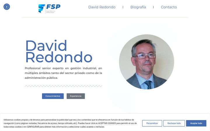 Screenshot di david-redondo.es
