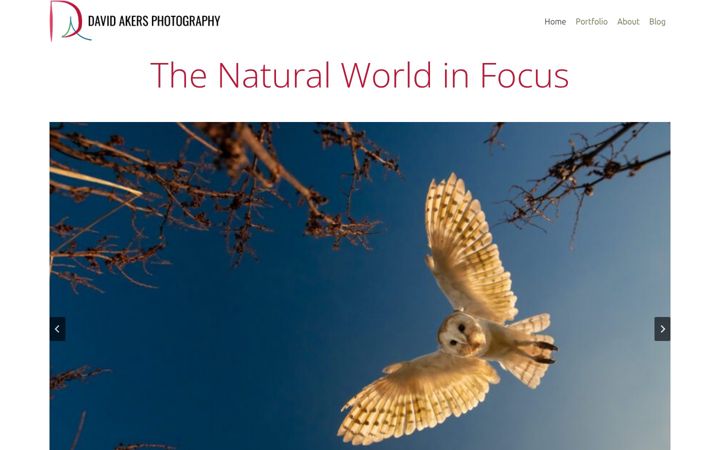 Screenshot of davidakers.photography