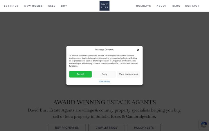Screenshot of davidburr.co.uk