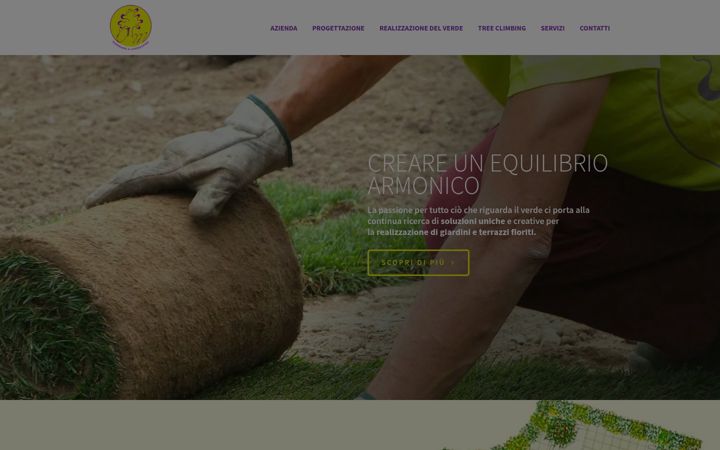 Screenshot of davidemontagnasas.com