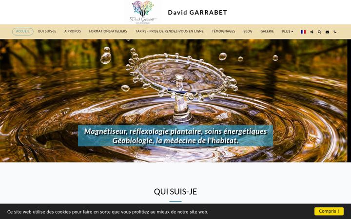Zrzut ekranu davidgarrabet.fr