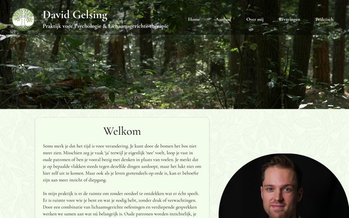 Snimka zaslona za davidgelsing.nl