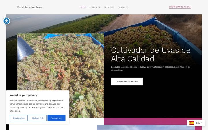 Screenshot of davidgonzalezperez.es