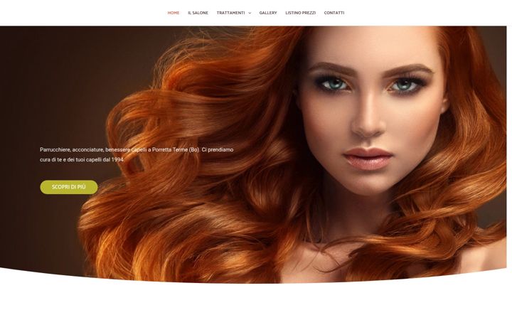 Screenshot of davidhairgroup.it