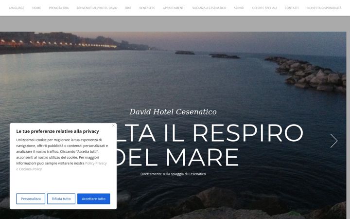 Screenshot of davidhotels.com
