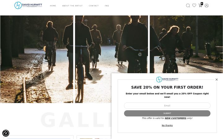 Screenshot of davidhurwitt.com