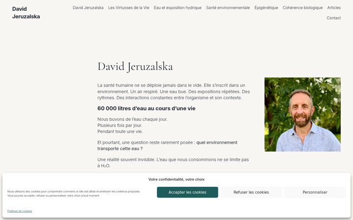 Zrzut ekranu davidjeruzalska.fr