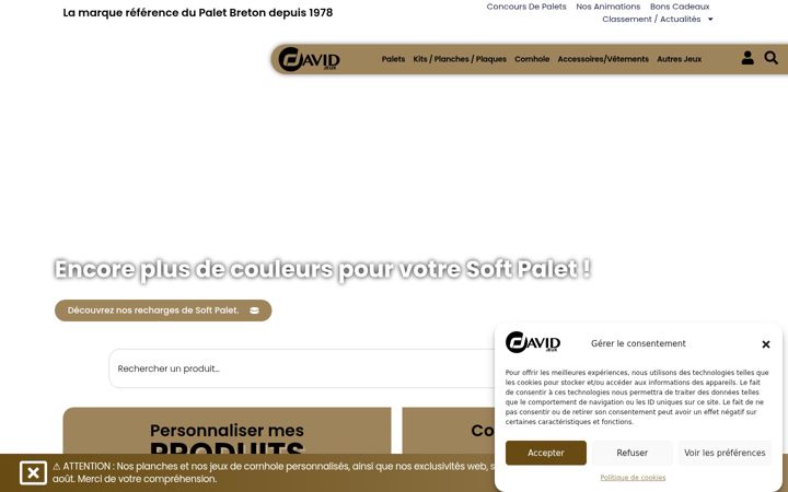 Zrzut ekranu davidjeux.fr
