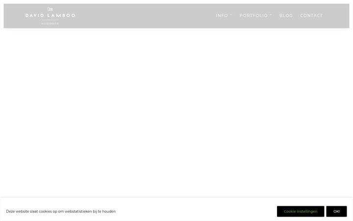 Screenshot di davidlamboo.nl