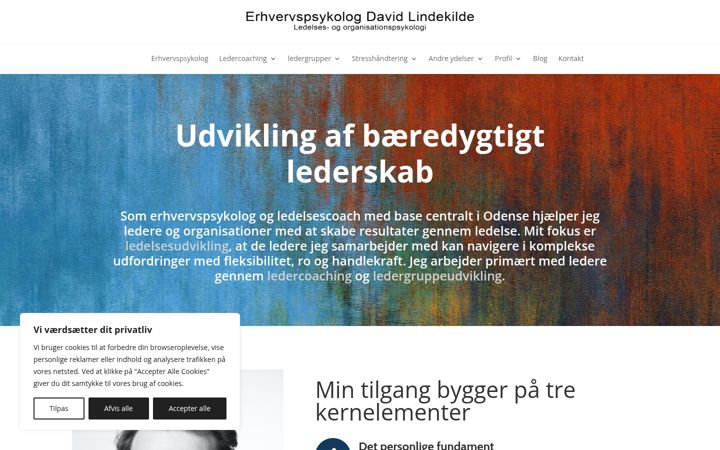 Screenshot ta' davidlindekilde.dk