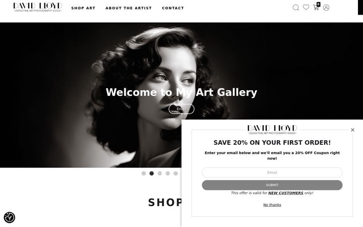 Screenshot of davidlloydmixedmediart.com