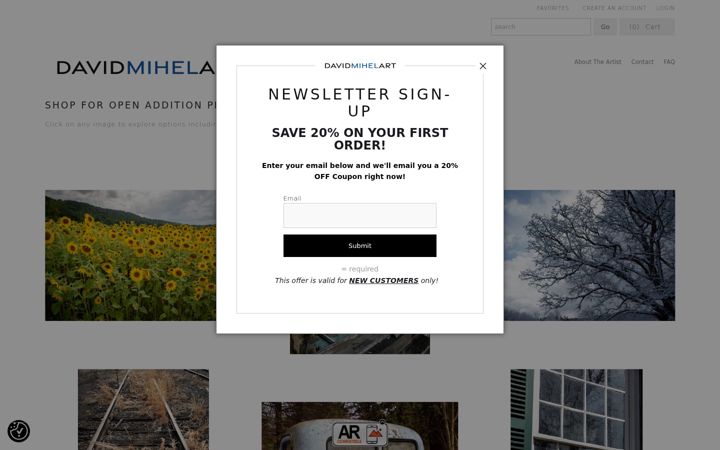 Screenshot of davidmihel.com
