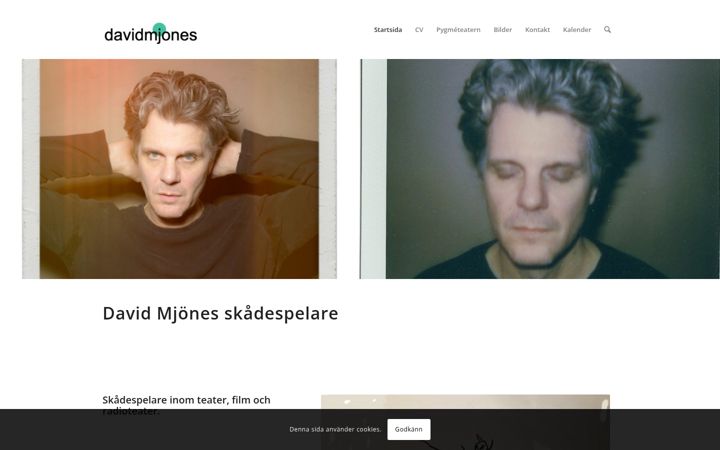 Screenshot di davidmjones.se