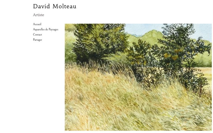 Zrzut ekranu davidmolteau.fr