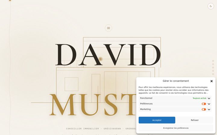Zrzut ekranu davidmusto.fr