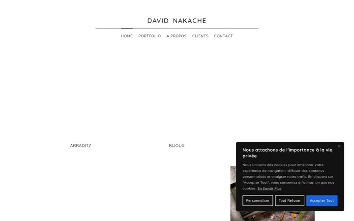 Zrzut ekranu davidnakache.fr