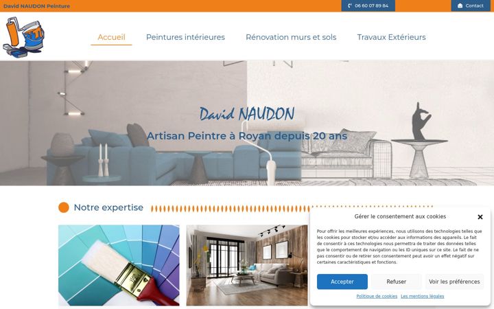 Zrzut ekranu davidnaudonpeinture.fr
