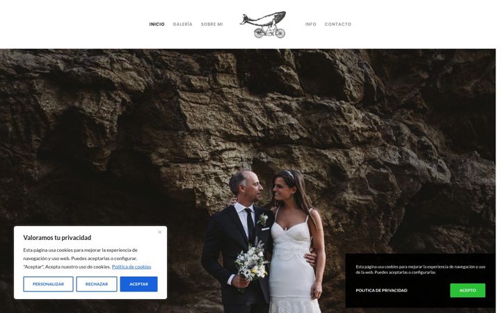 Screenshot of davidnavalstudio.com