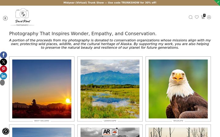 Screenshot of davidplantphotography.com