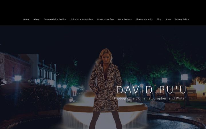Screenshot of davidpuu.com