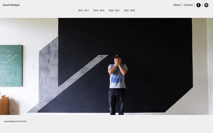 Screenshot of davidreitspis.com