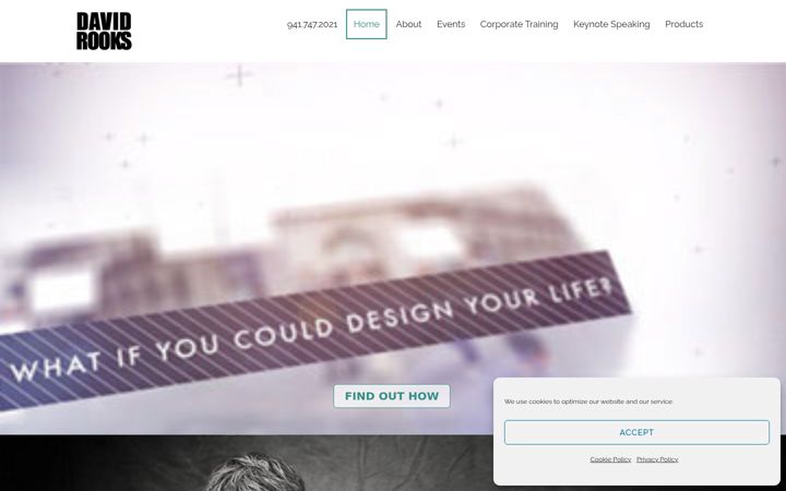 Screenshot of davidrooks.com