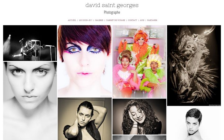 Screenshot of davidsaintgeorges.com