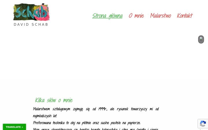 Screenshot of davidschab.com