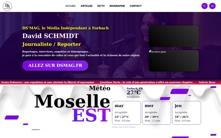 Zrzut ekranu davidschmidt.fr