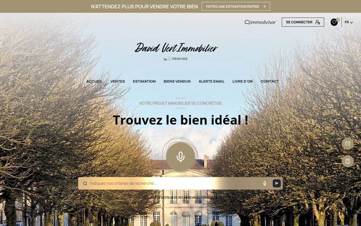 Zrzut ekranu davidvertimmobilier.fr