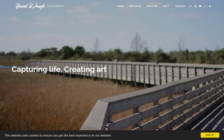 Screenshot of davidwaughphotography.com