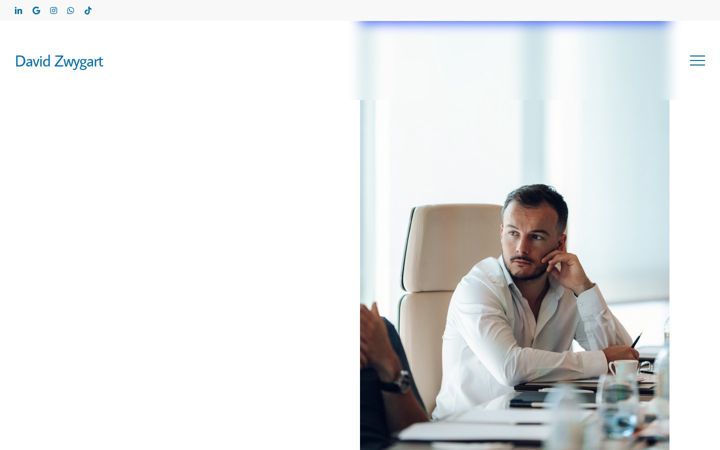 Screenshot of davidzwygart.com