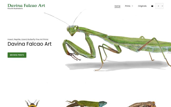 Screenshot of davinafalcaoart.com