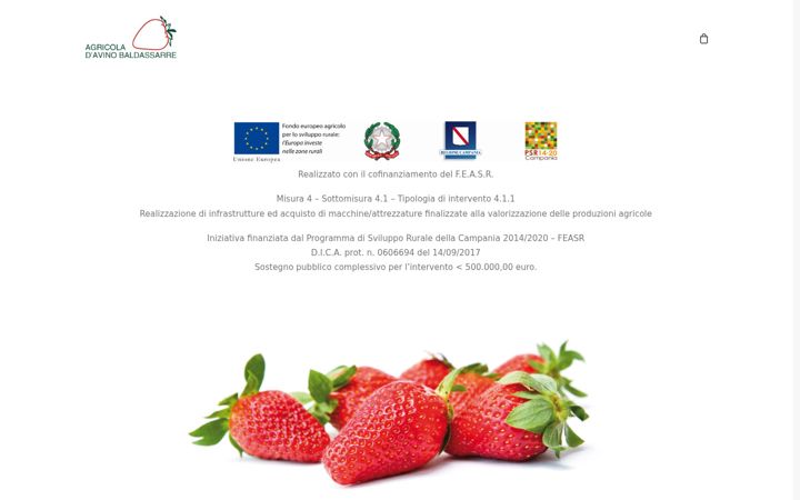 Ekrano kopija davinobaldassarre.it