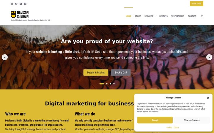 Screenshot of davisonbrain.com