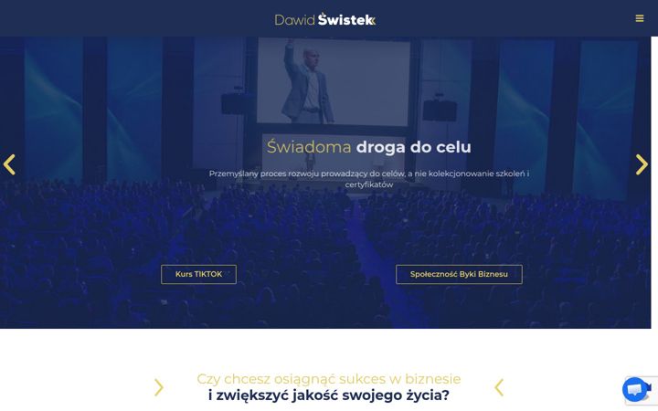 Screenshot of dawidswistek.com