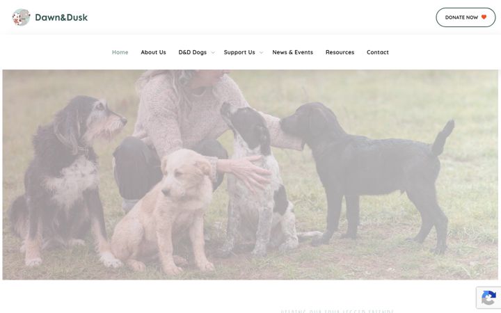 Screenshot of dawnandduskfrance.com
