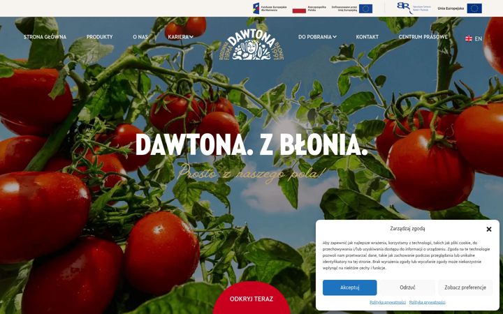 Screenshot του dawtona.pl