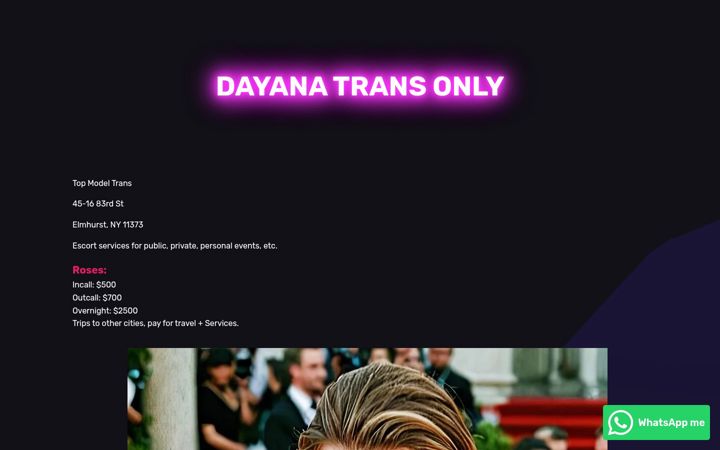 Screenshot of dayanatransonly.com