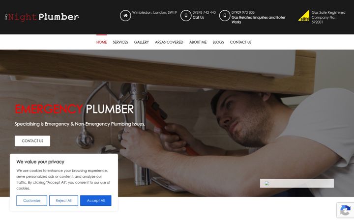 Skjámynd af daynightplumber.co.uk
