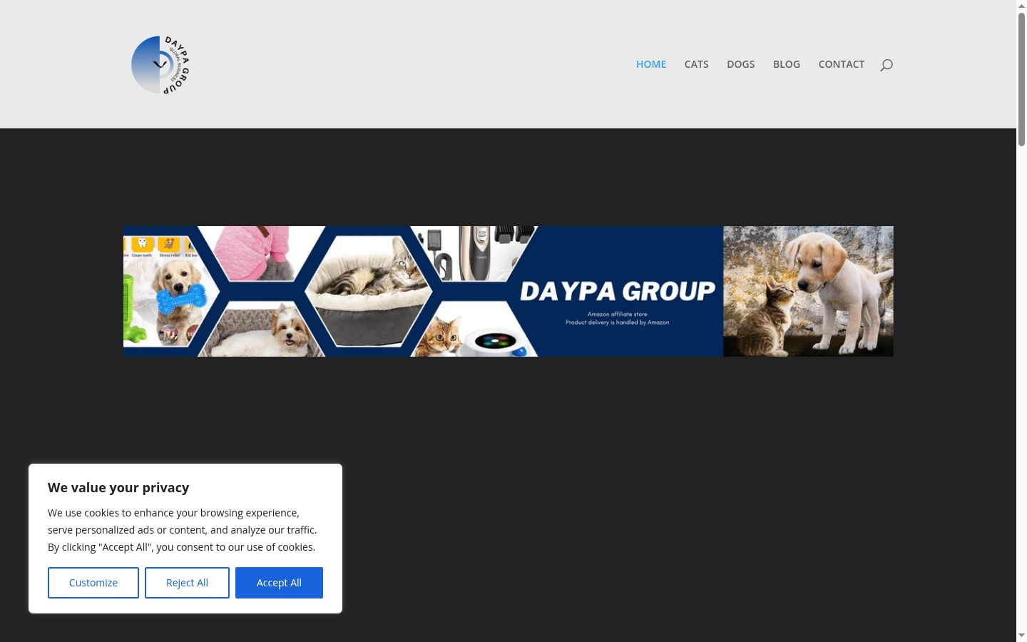 Screenshot of the consent banner shown before any interaction
